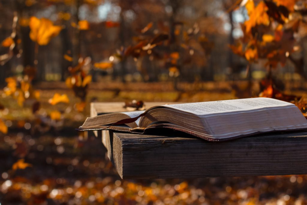 An open Bible surrounded by fall foliage shows promises for Thanksgiving